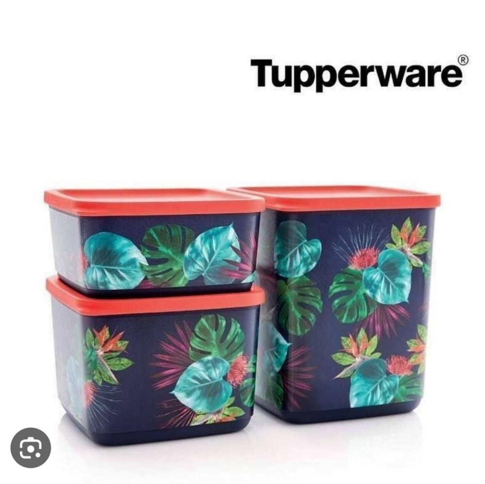 Tupperware Palm Paradise Square Set New